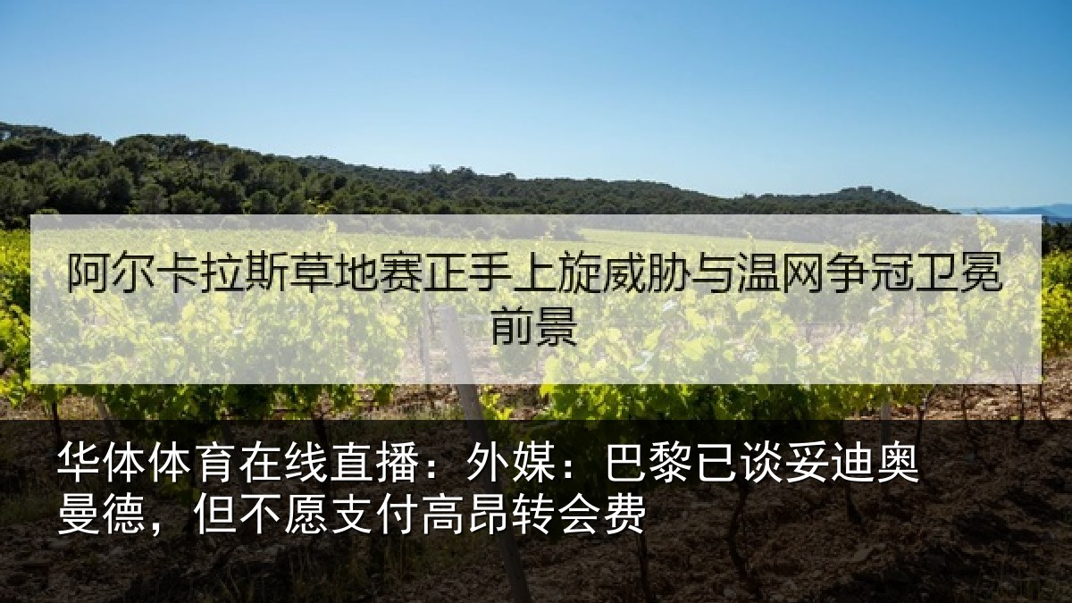 华体体育在线直播:外媒:巴黎已谈妥迪奥曼德,但不愿支付高昂转会费