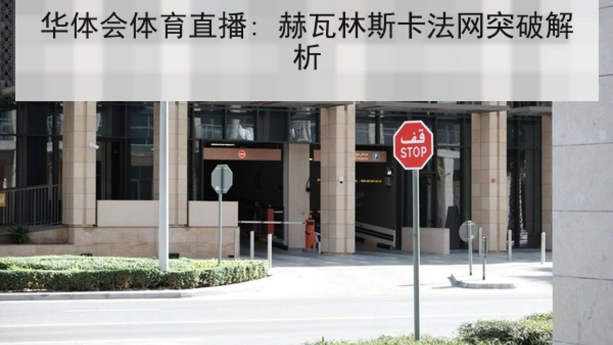 华体会体育直播: 赫瓦林斯卡法网突破解析